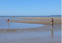 Capture décran 2026 02 02 092752